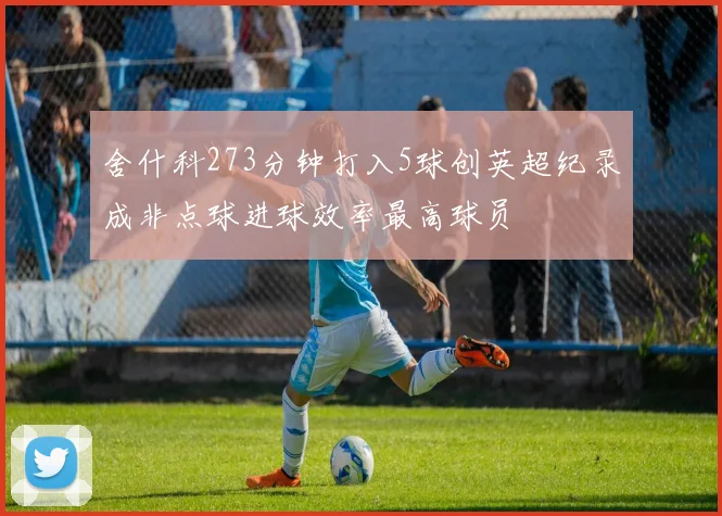 舍什科273分钟打入5球创英超纪录成非点球进球效率最高球员
