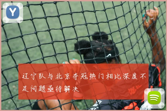 辽宁队与北京夺冠热门相比深度不足问题亟待解决