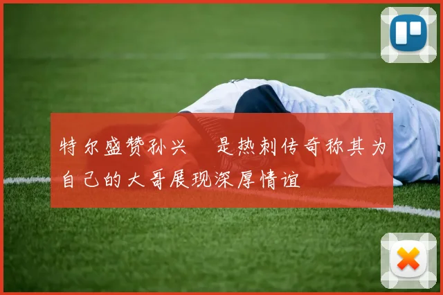 特尔盛赞孙兴慜是热刺传奇称其为自己的大哥展现深厚情谊