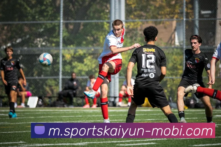 开云体育全站App